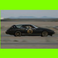 237 - LeMons Chuckwalla 2012.jpg